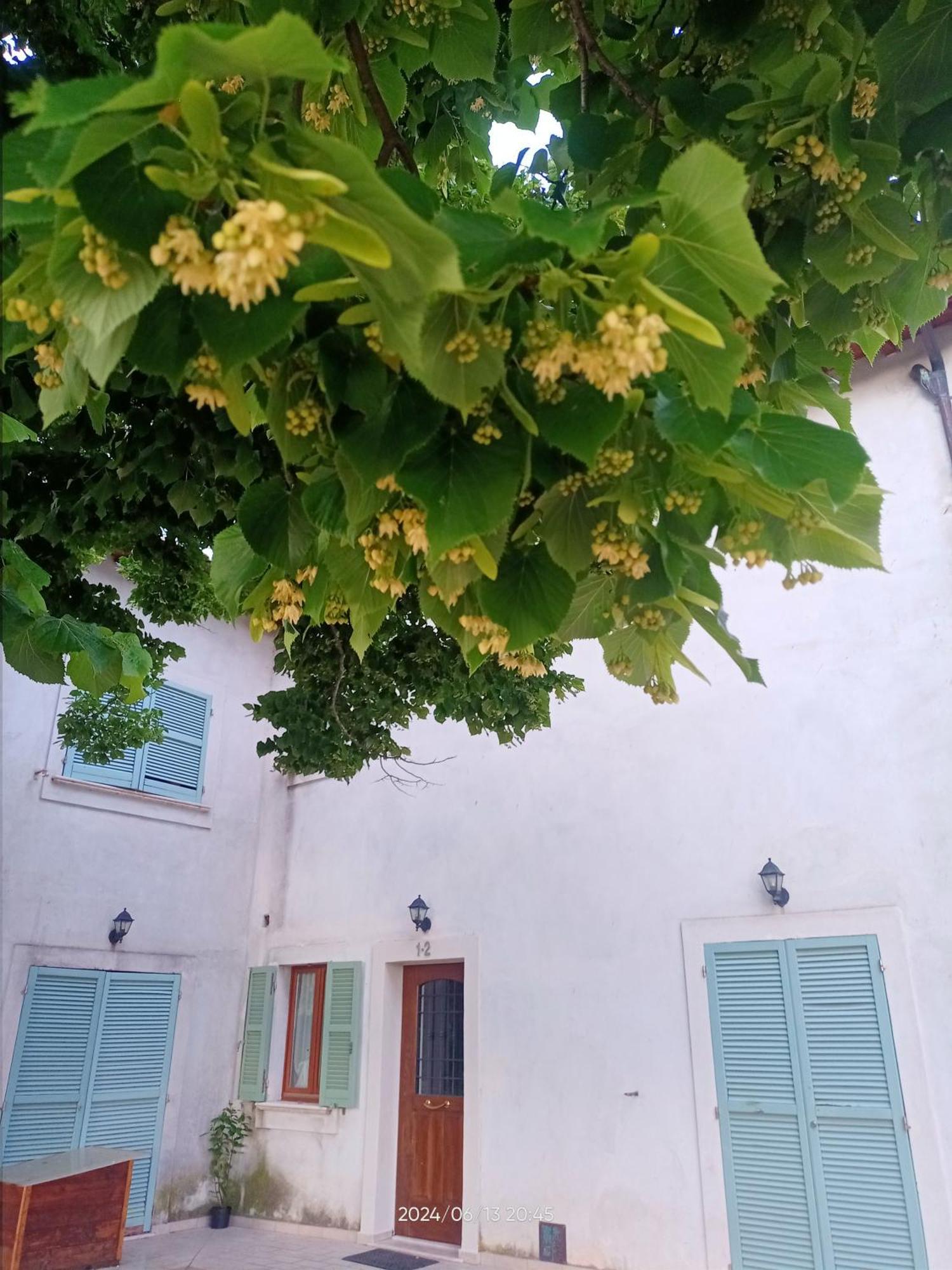 Agriturismo San Martino Foligno Exterior foto